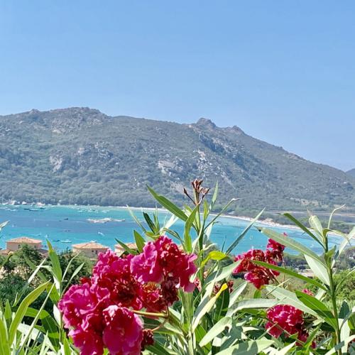 villa mare e monti Santa giulia corse du sud